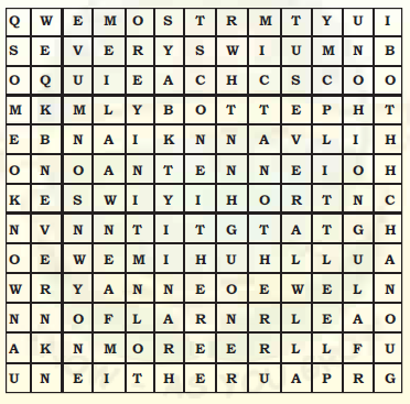 CBSE Class 10 English Determiners